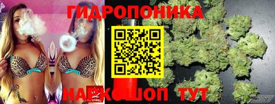 jwh Протвино