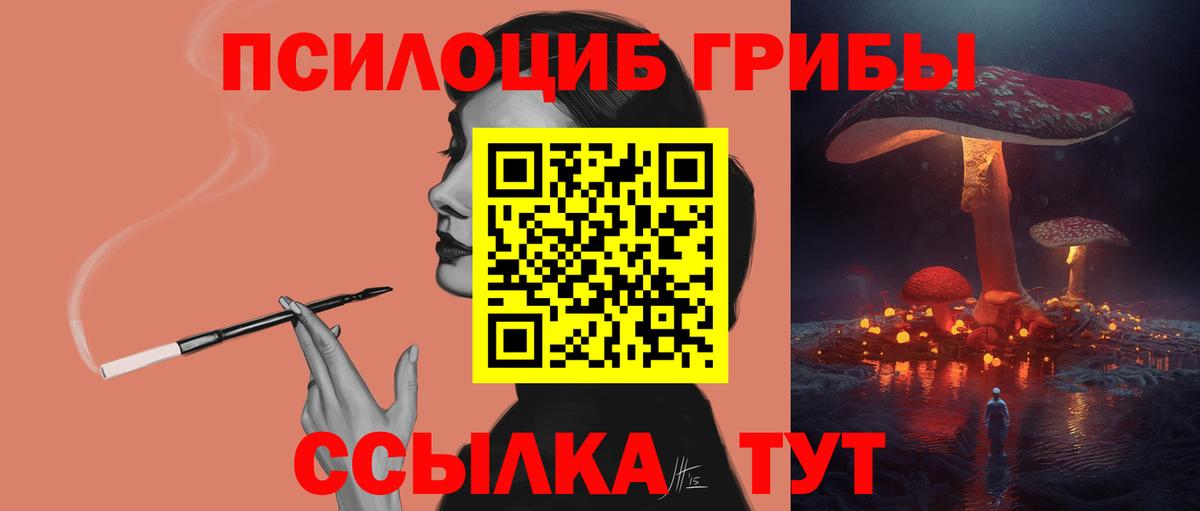 Курчалой  Псилоцибиновые грибы ЛСД  Вход с VPN  магазин  наркотиков  Галлюциногенные грибы MAGIC MUSHROOMS 